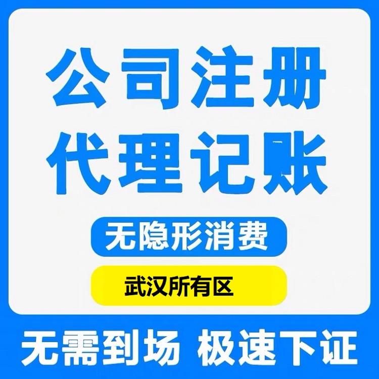 武汉工商注册代办:助力企业快速启航